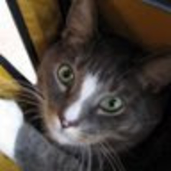 Meet your Posher, Betty - Picture 2 of 2